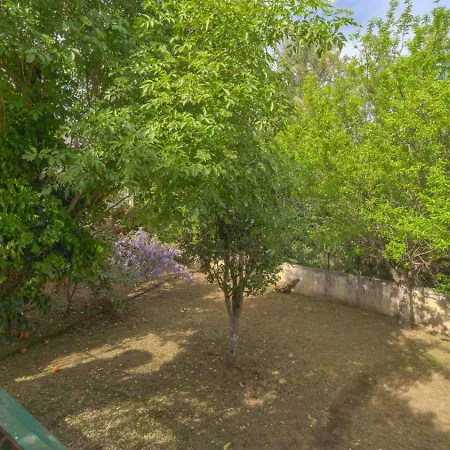 Large, Converted With Pool