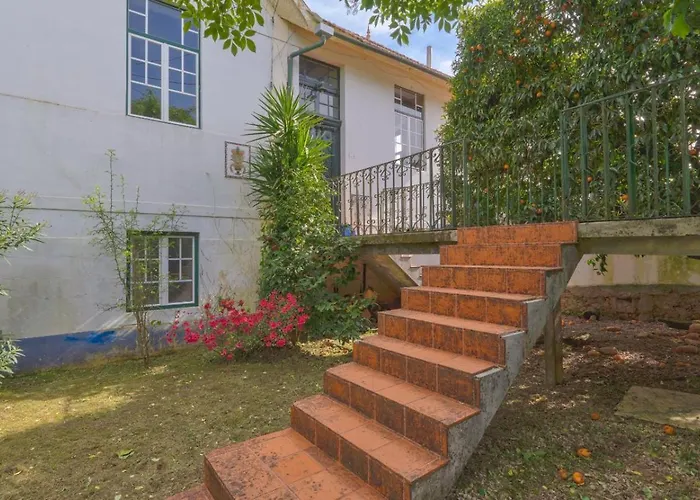 فيلة Large, Converted With Pool