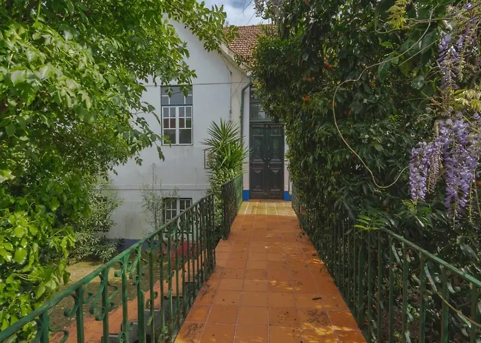 Large, Converted With Pool